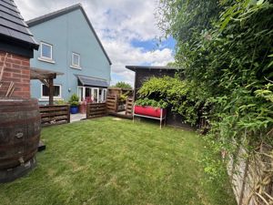 NEW lawn- click for photo gallery